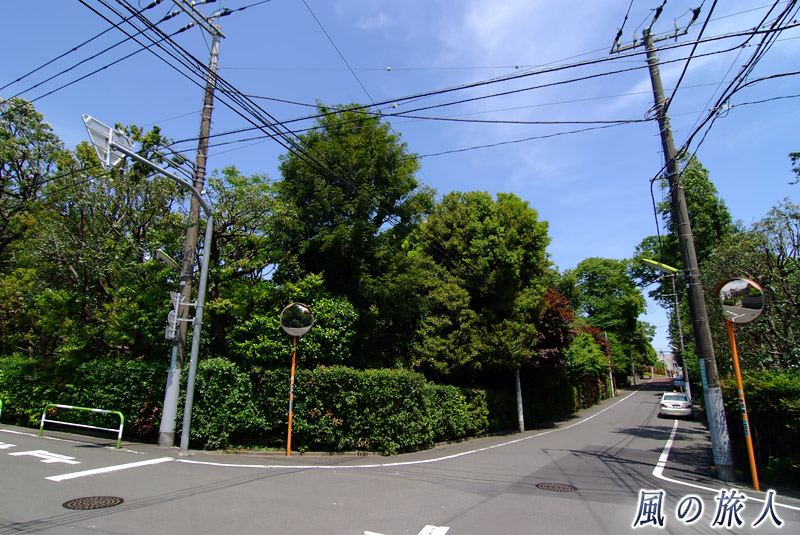 秋山邸の前の通りの写真
