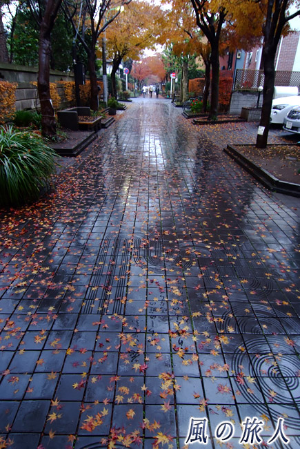 用賀プロムナード　雨の日のいらか道の写真