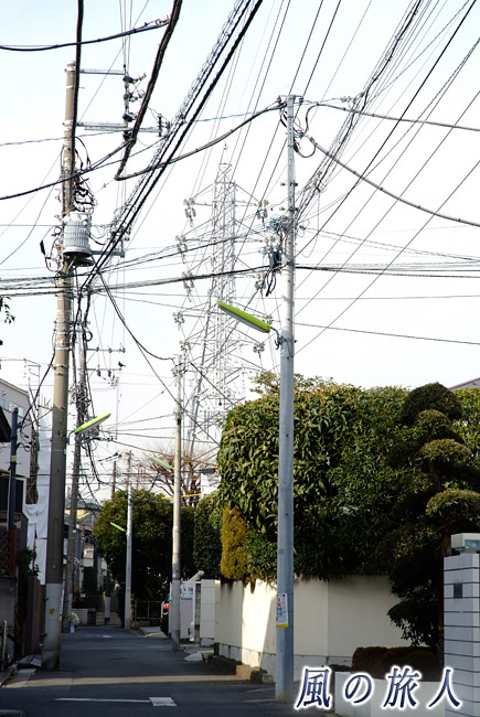 駒沢線61号鉄塔　鉄塔と住宅地の写真