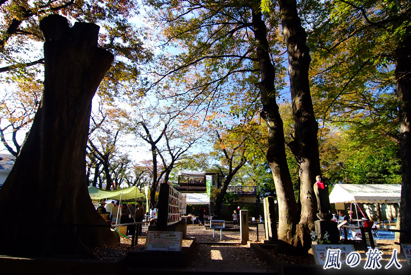 長島大榎公園の様子を写した写真