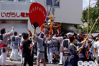 野沢稲荷神社の神輿渡御の写真
