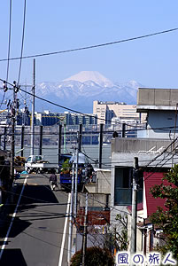 野毛付近からの眺める富士山