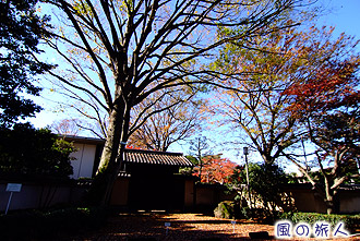 五島美術館の紅葉の写真