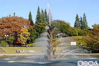 世田谷公園の紅葉の写真