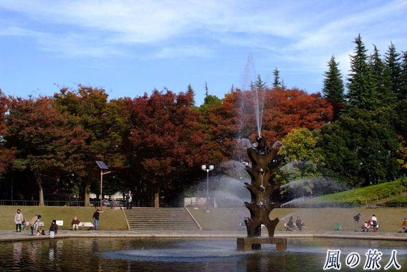 世田谷公園　紅葉の時期の噴水広場