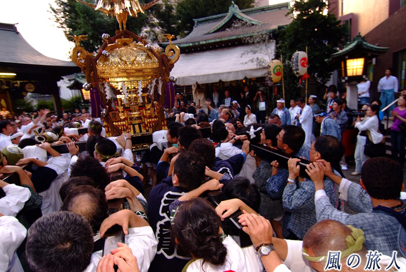 池尻稲荷神社例大祭　神輿の宮入の写真