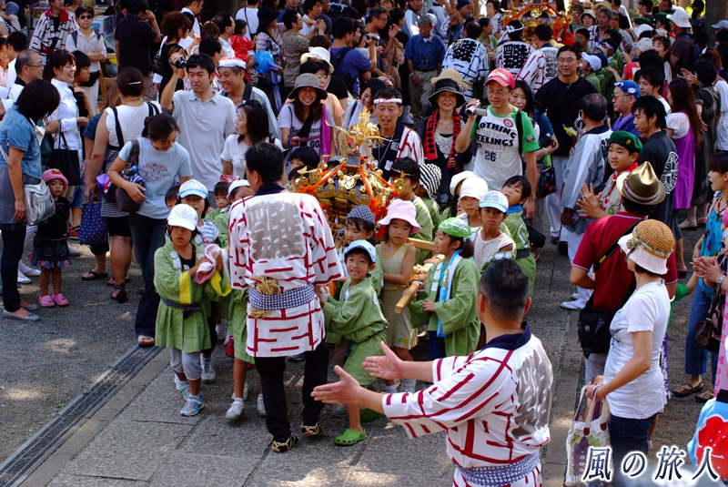 北沢八幡神社の神輿　子供神輿の宮入