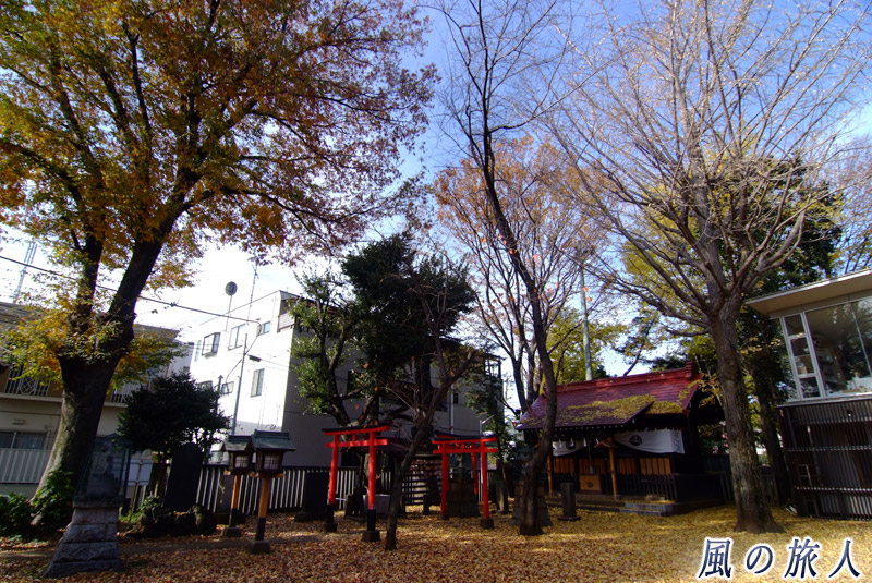 羽根木神社の境内と社殿