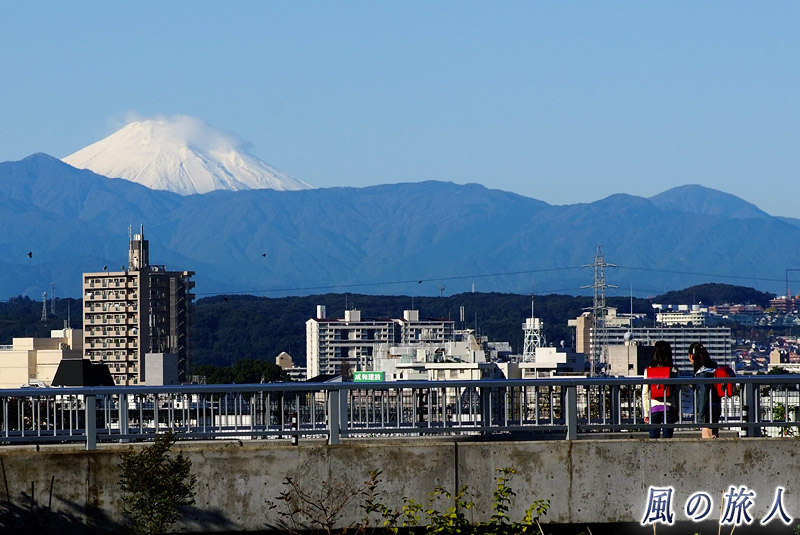 成城　不動橋を渡る子供達と富士山