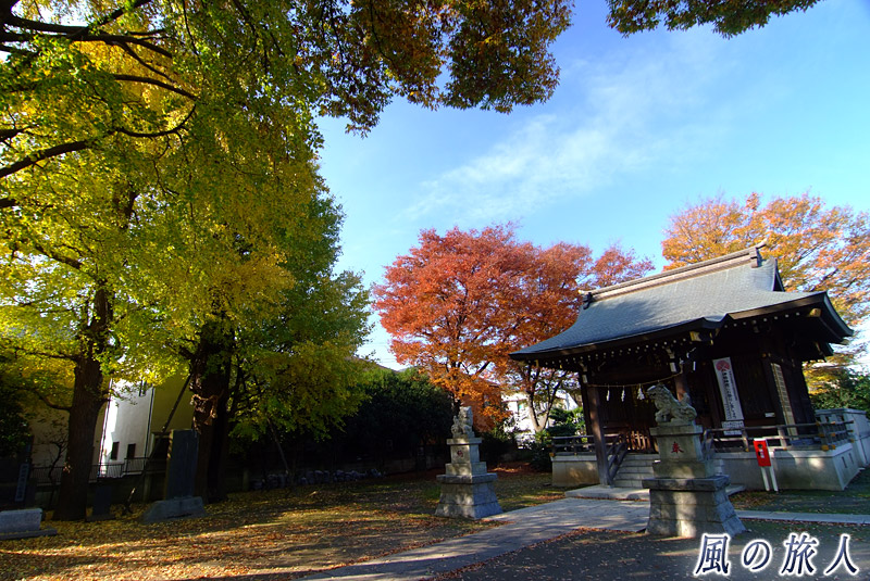 宇奈根氷川神社　紅葉の時期の社殿
