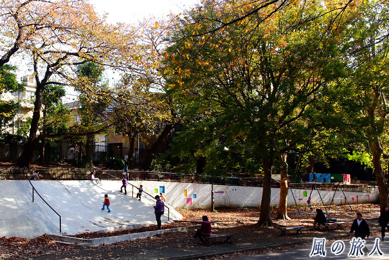 駒沢オリンピック公園　児童公園（りす公園）の様子を写した写真