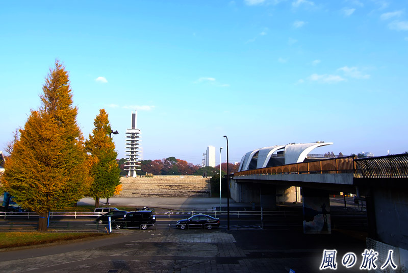 駒沢オリンピック公園の様子を写した写真
