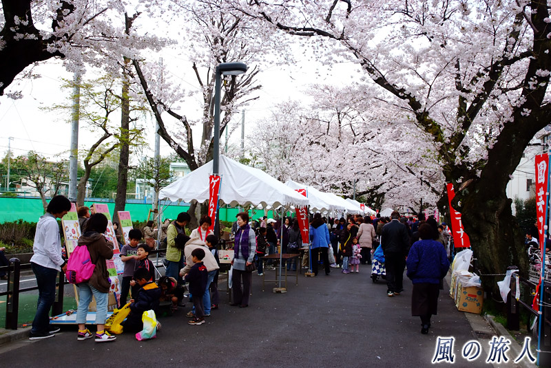呑川緑道公園　東深沢桜祭りの写真
