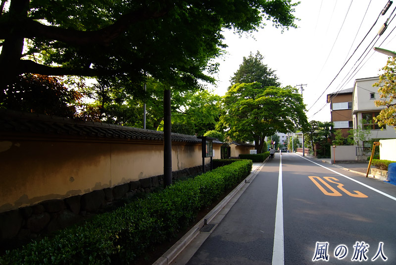 上野毛五島美術館　美術館の前の通りの写真