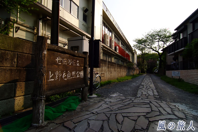 上野毛自然公園　公園の入り口（坂の上）の写真