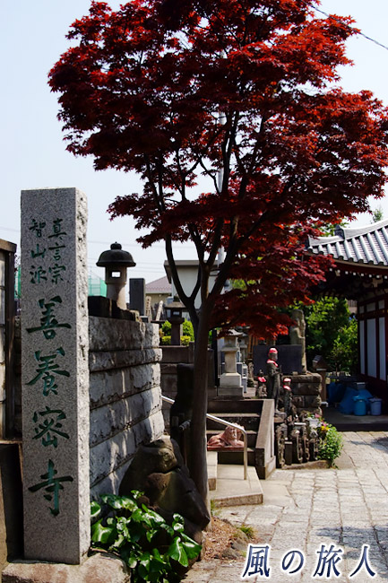 野毛善養寺　六所神社側の入り口の写真