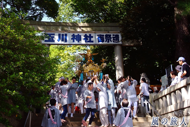 等々力玉川神社秋祭り　根原睦会の写真