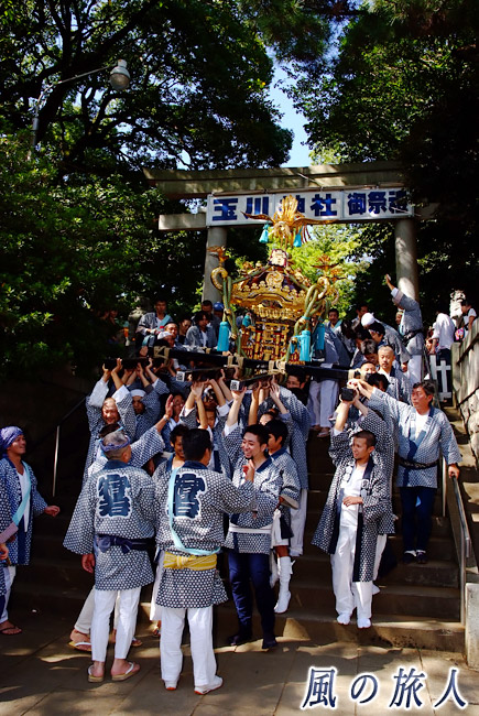 等々力玉川神社秋祭り　宿若睦会の写真