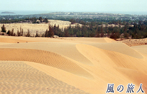 ベトナム　ムイネ砂丘の写真