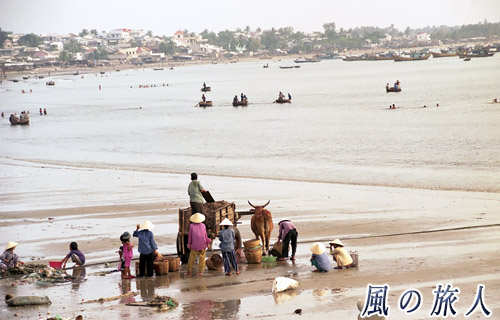 ベトナム　ムイネの浜辺の写真