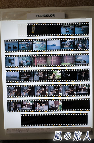 ネガシートの写真