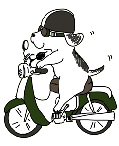 バイクに乗るワンコのイメージ（＊イラスト：いらすとるーむさん）