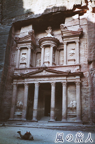 ヨルダン　ペトラ遺跡のラクダの写真