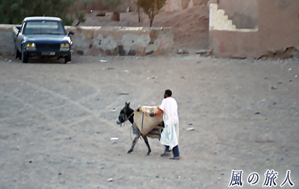 モロッコ　マハミド　ロバと男性の写真
