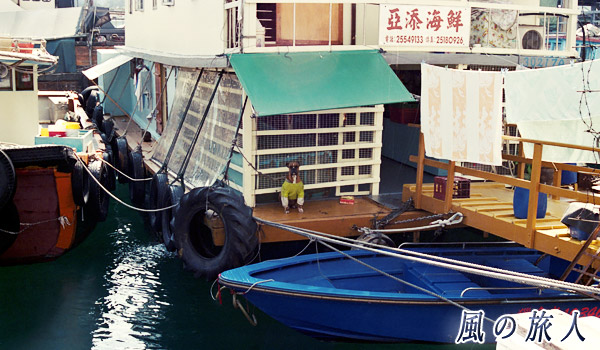 水上生活のワンコ　香港仔（Aberdeen）、HongKong　Jan.2000