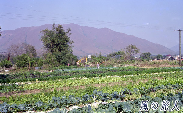 香港　田園風景の写真