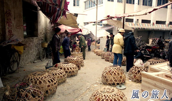 鳥市場（陽朔）の写真