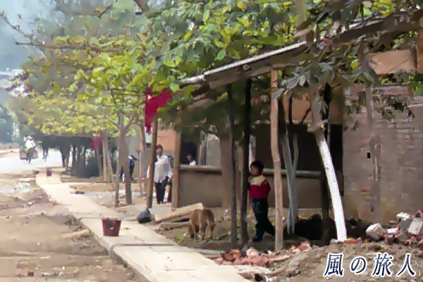 サパの町でみかけた野良犬の写真　サパ（Sa Pa）、Vietnam　Feb.2000