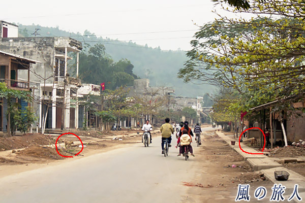 サパの町でみかけた野良犬の写真　サパ（Sa Pa）、Vietnam　Feb.2000