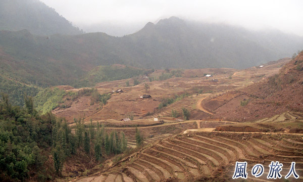 ベトナム　サパの段々畑の写真