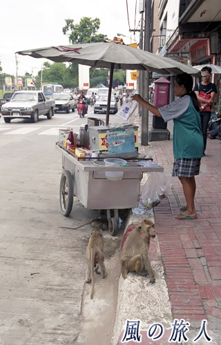 タイ　ロッブリー　屋台と猿の写真