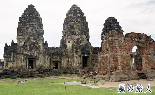 タイ　ロッブリー　プラーン サームヨート遺跡と猿の群れの写真