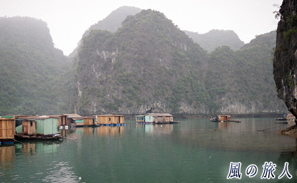 ベトナム　ハロン湾　ハロン湾に浮かぶ水上の家の写真