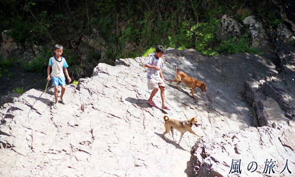 ラオス　シーパンドン　コーン島　ワンコと釣り場へ向かう子供たちの写真