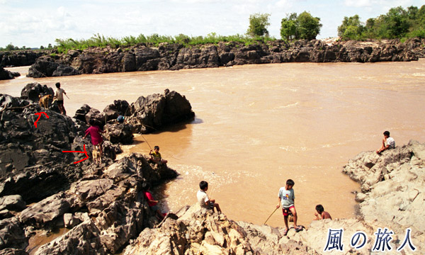 ラオス　シーパンドン　コーン島　魚釣りをする子供たちと見守るワンコの写真