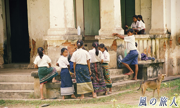 ラオス　小学校に侵入するわんこの写真