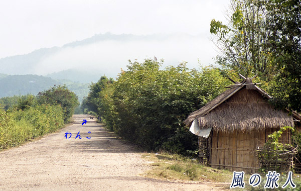 ラオス　ムアンシン　のどかな道の写真