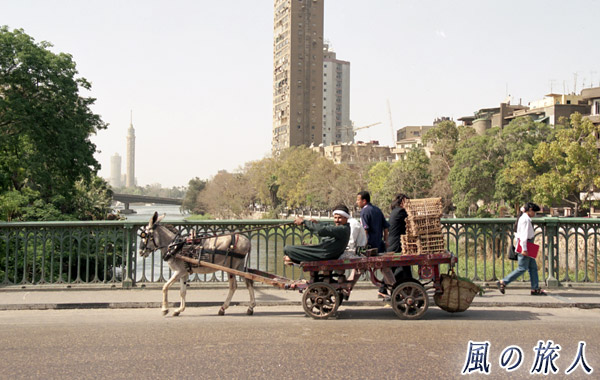 エジプト　カイロのロバ車の写真