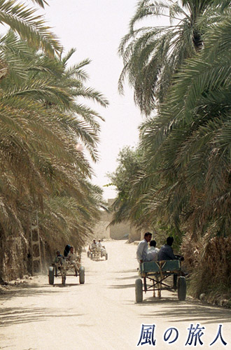 エジプト　ロバ車が行き交う様子の写真
