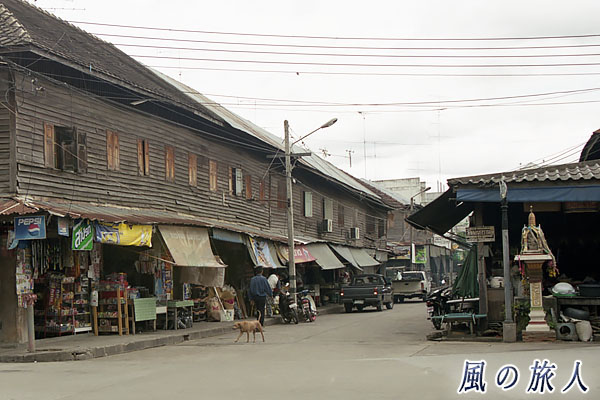 タイ　カンチャナブリ　町を歩くわんこの写真