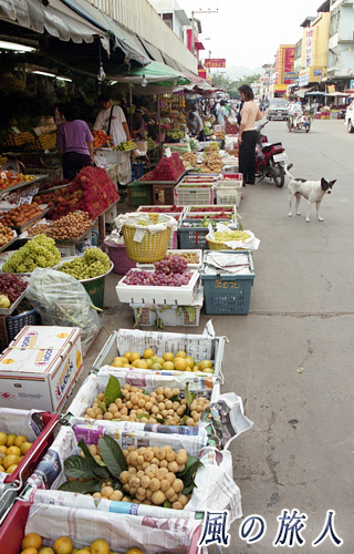 タイ　カンチャナブリ　南国フルーツとわんこの写真