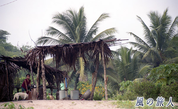 ベトナム　ムイネ　水場の子供とワンコの写真