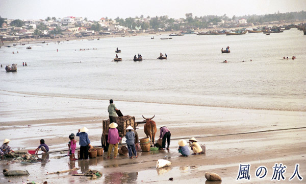 ベトナム　多くの船が停泊するムイネの湾の写真