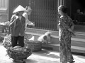 ハノイ旧市街のワンコのサムネイル