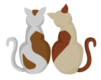 インスタントカメラのイメージ（＊イラスト：ACworksさん）