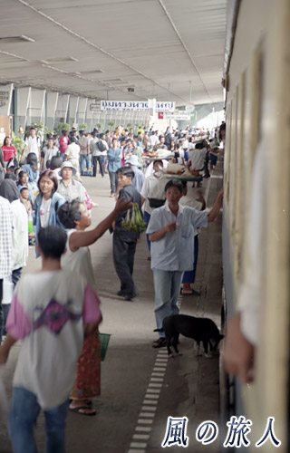 タイ　スンガイコロク　賑わう鉄道のホームにいるわんこの写真